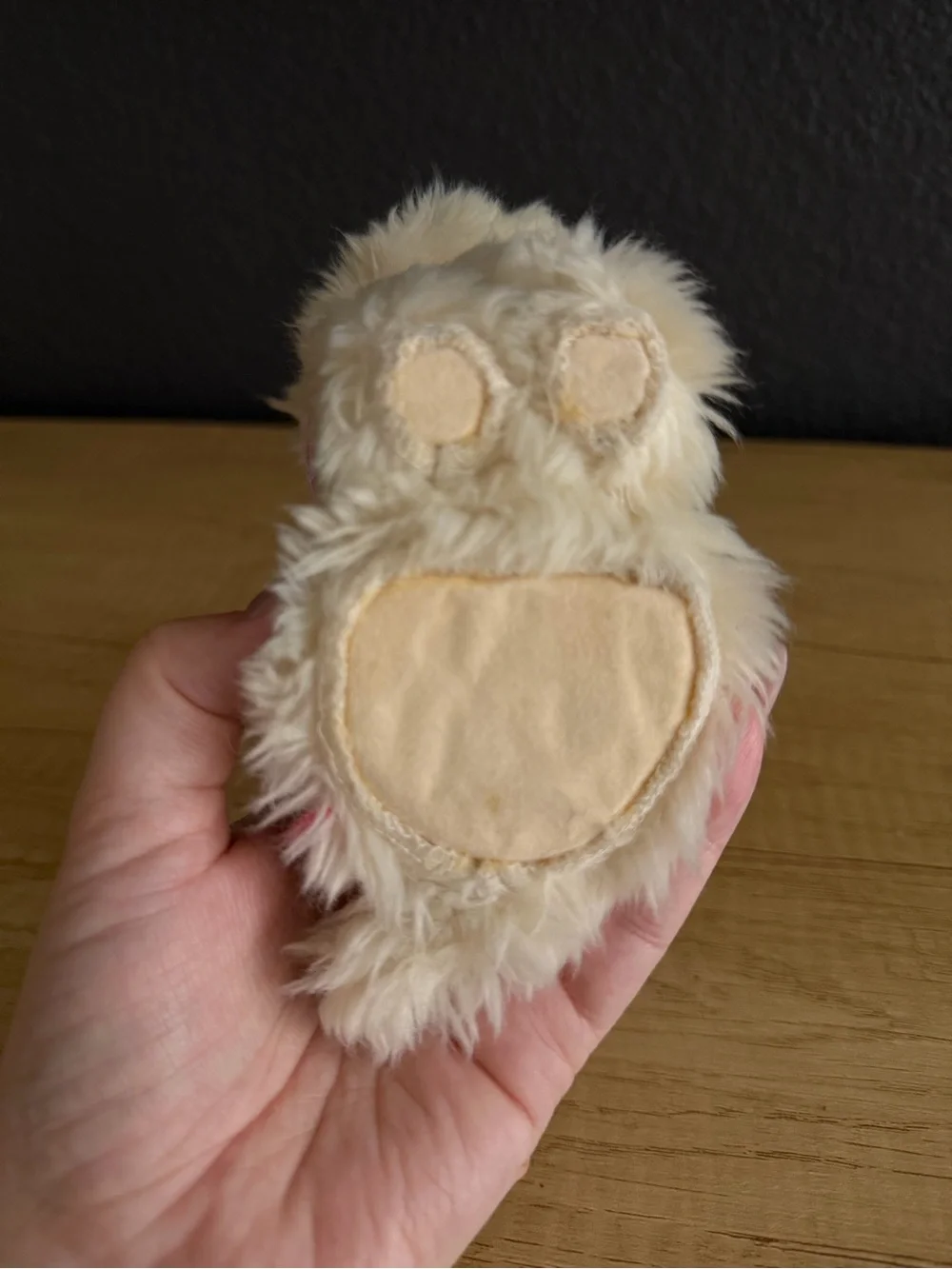 American Girl Doll Coconut the Dog